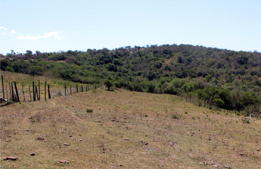 Commercial Property for Sale in Komga Rural Eastern Cape